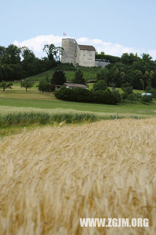 夢見自己從高處掉下來_周公解夢夢到自己從高處掉下來是什麼意思_做夢夢見自己從高處掉下來好不好_周公解夢官網