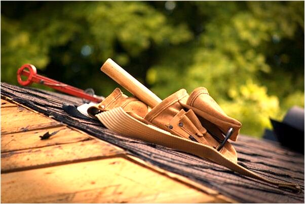 夢到了大眾點評網什麼預兆_周公解夢官網