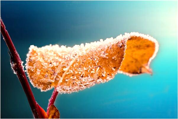 夢到死去的姥姥大便灑一地是什麼徵兆_周公解夢官網