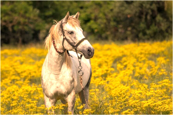 夢到面和心不合的人預示什麼_周公解夢官網