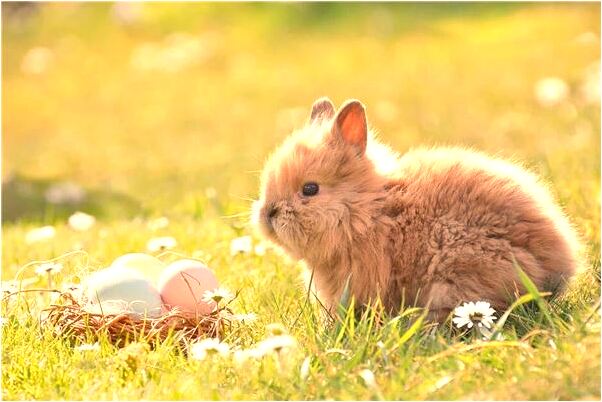 夢見和老朋友發生關係會有什麼預兆_周公解夢官網