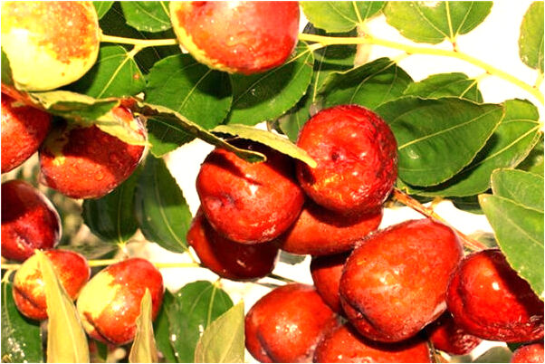 夢見同學抱著小女孩有什麼意義嗎_周公解夢官網