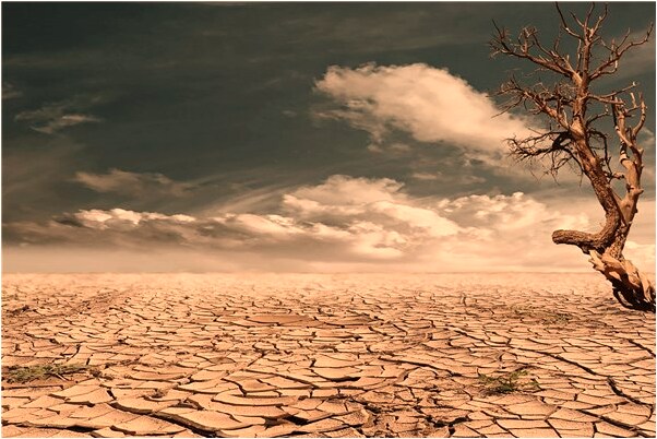 夢到吃人魚看見血是好的徵兆嗎_周公解夢官網