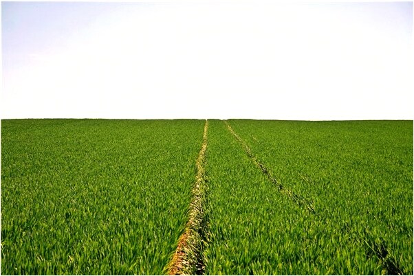 夢見已去世的親人得了重病啥意思_周公解夢官網