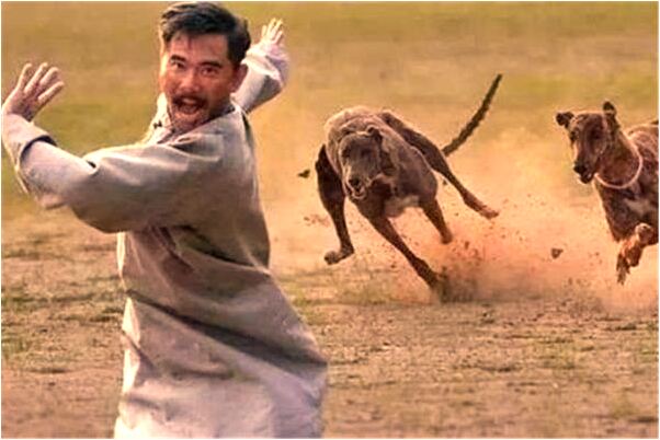 夢到了女賊偷本人的錢包會有什麼預兆_周公解夢官網