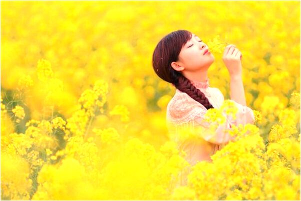 夢見大樹壓車意味什麼_周公解夢官網