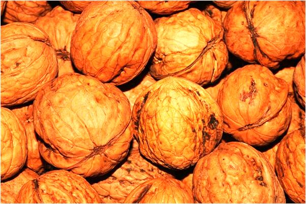 夢到了送人到車站等車怎么樣_周公解夢官網