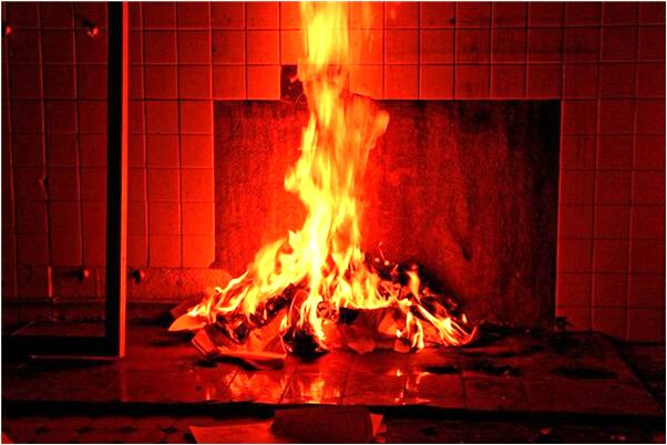 夢見青青的豆角棚有什麼意思_周公解夢官網