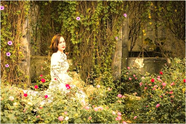 夢到我飛了意味著什麼_周公解夢官網