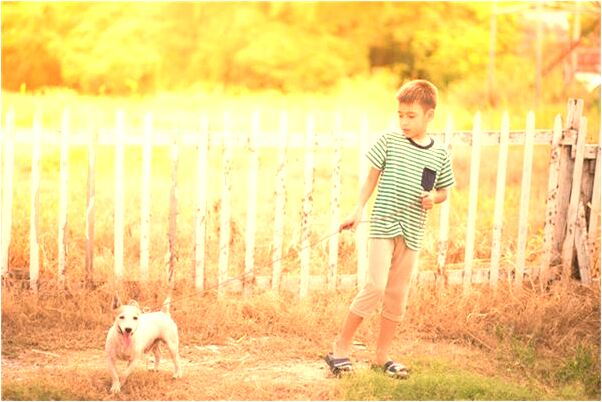 夢到了我去世的父親對我微笑是吉兆嗎?_周公解夢官網