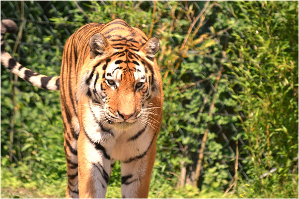 夢到了井裡撈孩子是什麼意思？_周公解夢官網