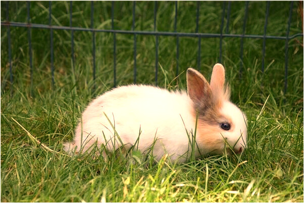 夢見自己淋雨前行怎么樣_周公解夢官網