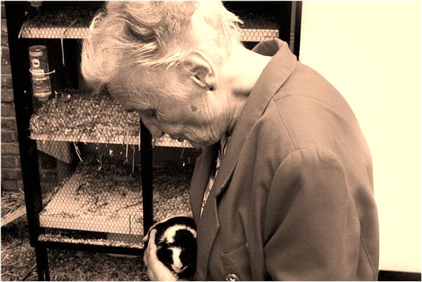 夢見去探望死去的生病人是什麼預兆_周公解夢官網