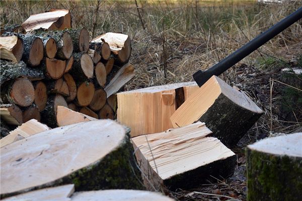 夢見上山砍材什麼寓意_周公解夢