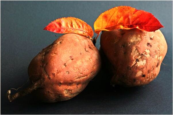 夢見三條黑白相間的大長蛇膽有什麼寓意嗎?_周公解夢官網