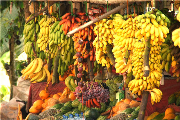 夢到大姐家陽台餵白雞下多蛋會有什麼預兆_周公解夢官網