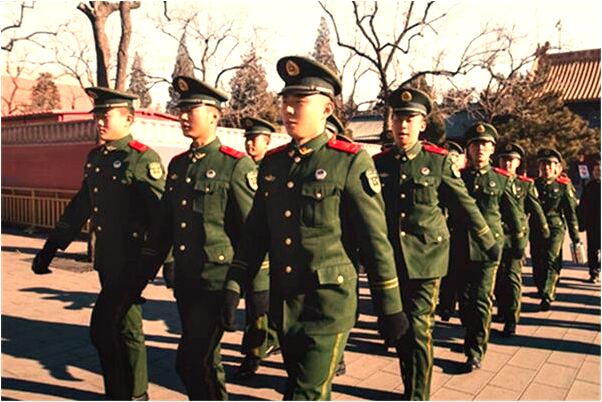 夢見蝙蝠咬我手意味什麼_周公解夢官網