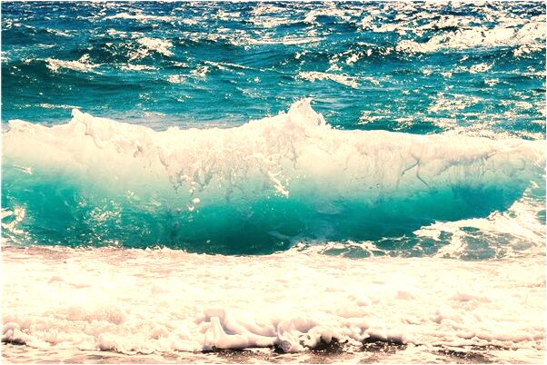 夢見看見豬交配有什麼意思_周公解夢官網