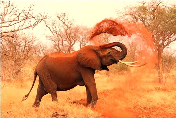 夢到自己一下上升了很高怎么回事_周公解夢官網