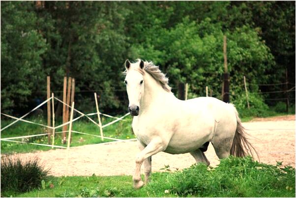 夢到香掉一地還粘了濕泥代表什麼_周公解夢官網