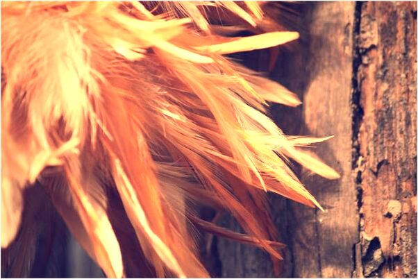 夢見沒見和死人睡覺是什麼徵兆_周公解夢官網