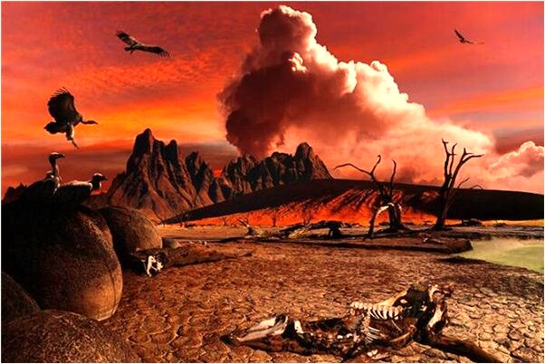 夢見下水道有魚是好是壞_周公解夢官網