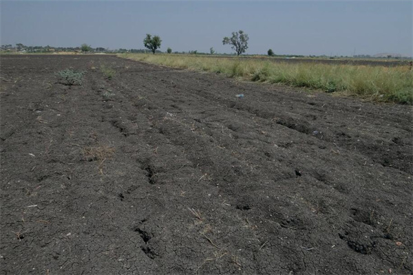 夢到了黑土代表什麼_周公解夢