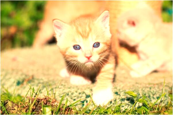 夢到了好朋友找到好的工作怎么樣_周公解夢官網