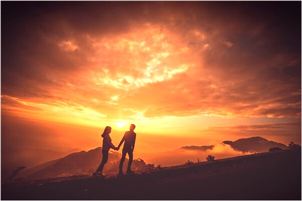 夢到了我養四隻小狗好不好_周公解夢官網