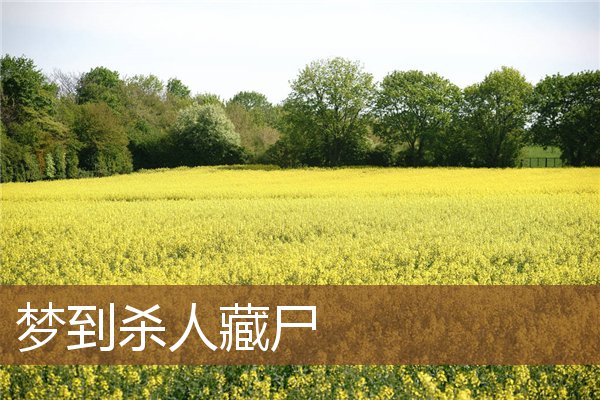 夢到殺人藏屍_周公解夢