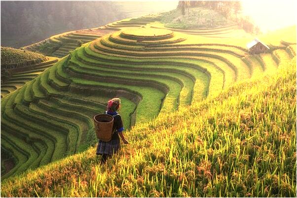 夢到了幫陌生小男孩找爸爸會有什麼預兆_周公解夢官網
