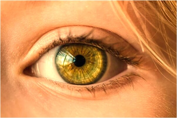 夢見經常剛出生不久的孩子是什麼意思_周公解夢官網