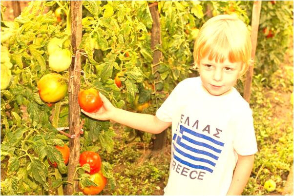 夢到死去媽媽光身子會怎么樣_周公解夢官網