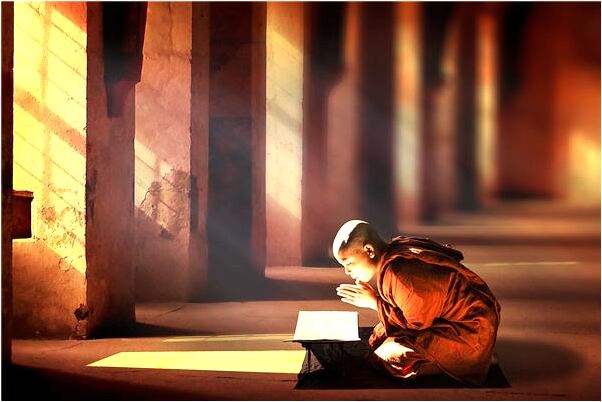 夢到了速食麵變成了寵物是凶兆還是吉兆_周公解夢官網