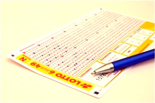 夢到麥苗變黃是什麼預兆_周公解夢官網