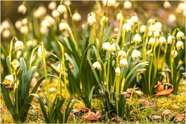 夢到了鐵路修到家門口是好事還是壞事_周公解夢官網