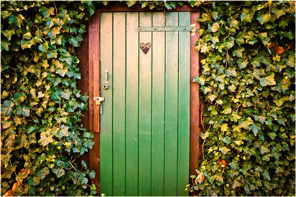 夢見鱷魚拉屎有什麼徵兆_周公解夢官網