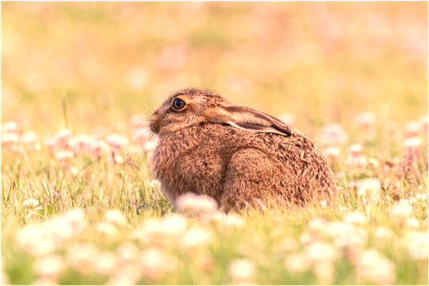 夢到參加生日聚會有什麼徵兆_周公解夢官網