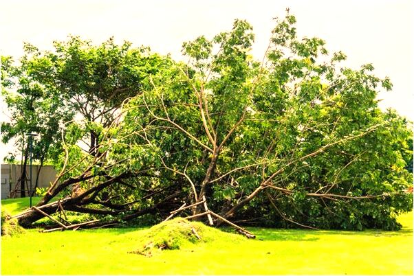 夢見跟別人接吻有什麼意義嗎_周公解夢官網