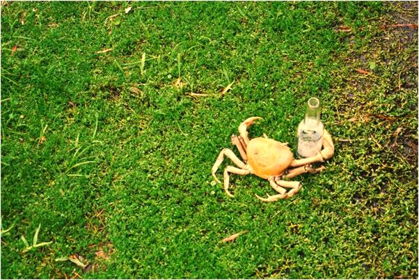 夢到自己外遇懷孕是好是壞_周公解夢官網