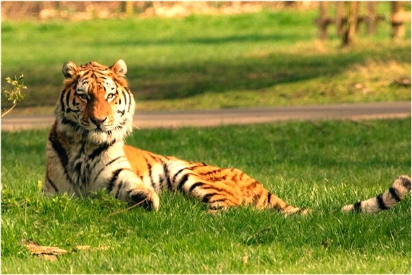 夢見房子後背泡在水裡意味什麼_周公解夢官網