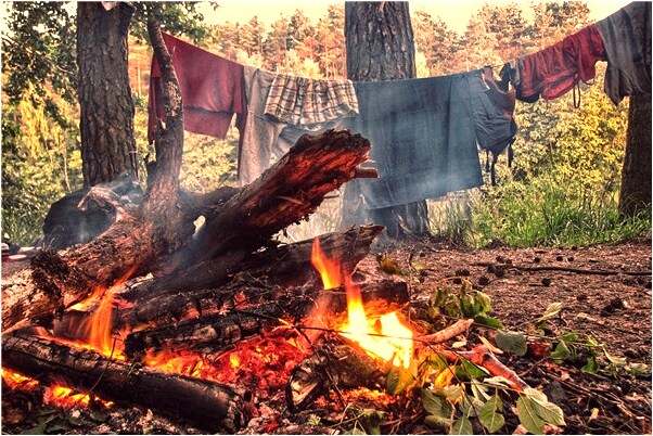 夢到養稀有魚和烏龜會是什麼預兆_周公解夢官網