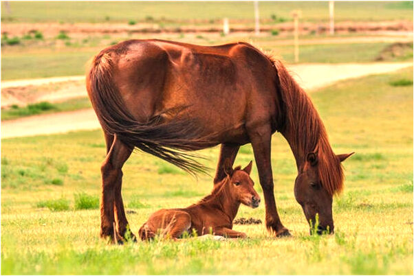夢見很忙碌加一整夜班預兆了什麼嗎_周公解夢官網