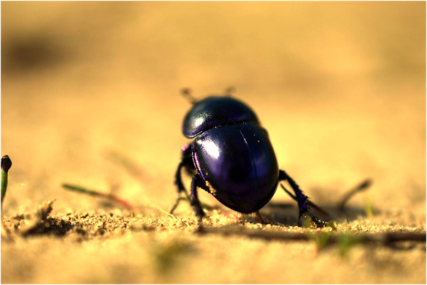 夢到經常死去去親人有什麼預示嗎_周公解夢官網