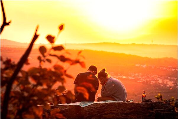 夢到了大型犬是凶兆還是吉兆_周公解夢官網