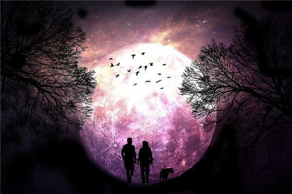 夢見體恤是不是好的徵兆呢_周公解夢