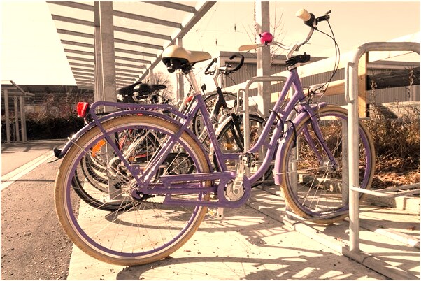 夢到了汽車被夫妻搶是什麼意思？_周公解夢官網