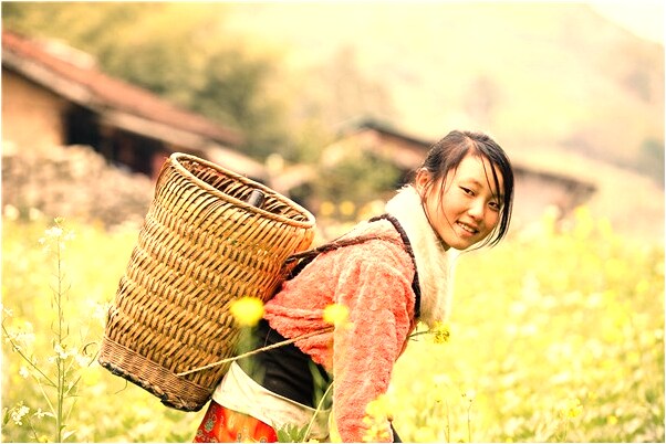 夢見給小麥打藥是什麼啟示_周公解夢官網