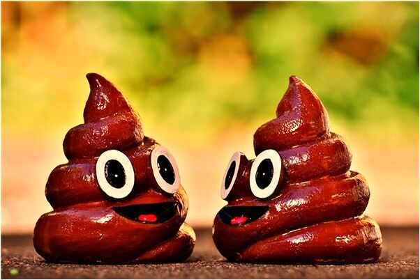 夢到滿車貨物倒了意味著什麼_周公解夢官網