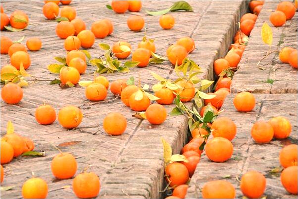 夢到丈夫與不認識女人做愛是什麼預兆？_周公解夢官網